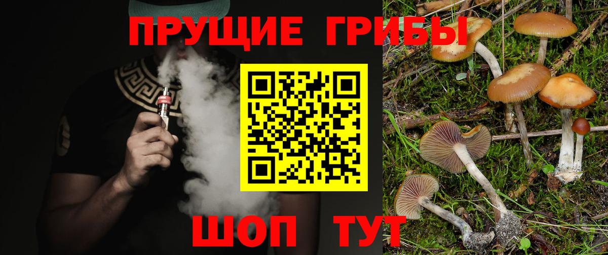Светлоград  Псилоцибиновые грибы Psilocybe  Вход с VPN 