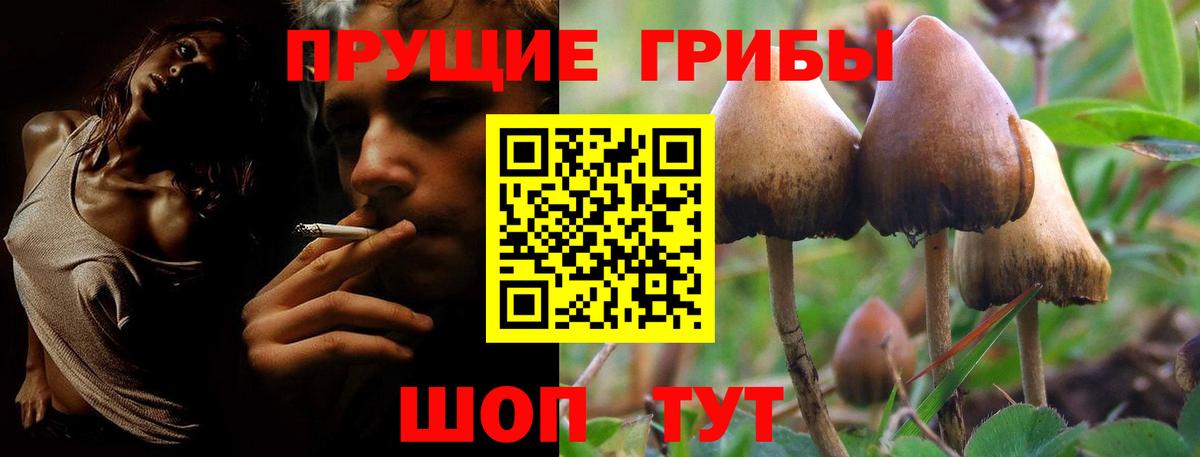 Галлюциногенные грибы мицелий Светлоград